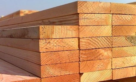 Export opportunities for Vietnam’s timber processing  - ảnh 1